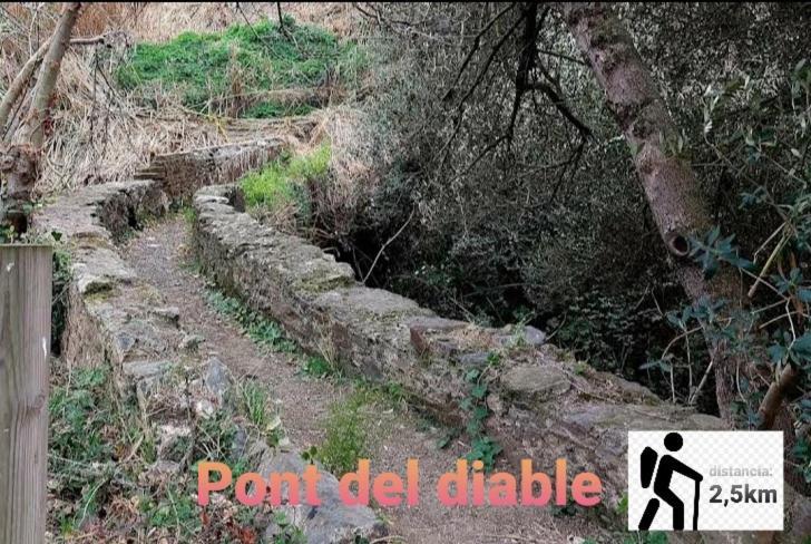 Apartamento En La Costa Del Maresme Pineda de Mar Eksteriør bilde